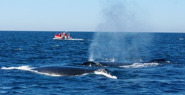 xc体育|福建省教育厅:省内378所院校可招中职生(图2) xc sports