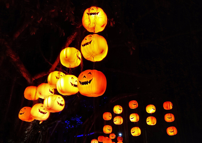 天津职校成立首家劳务派遣机构立体式服务助学生就业【xc sports】(图1) xc sports