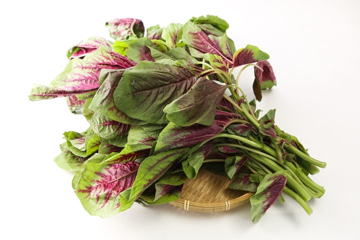 xc sports-天府通航学院系主任谈专业:培养一流的航空运输类高素质技术技能人才(图4) xc体育